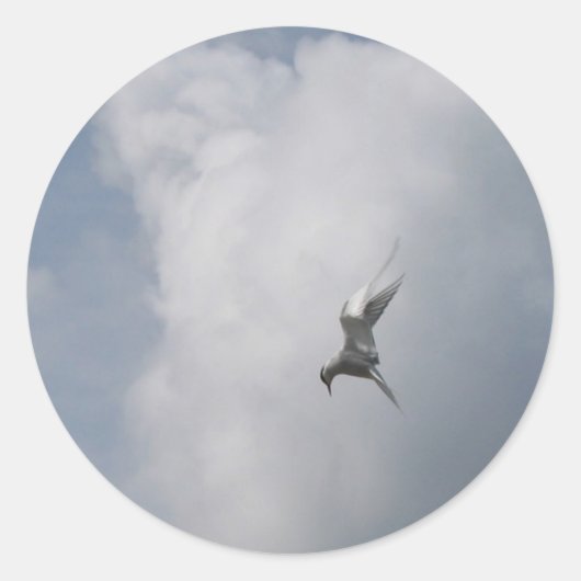 Tern in the Skyスタンプ ラウンドシール (正面)