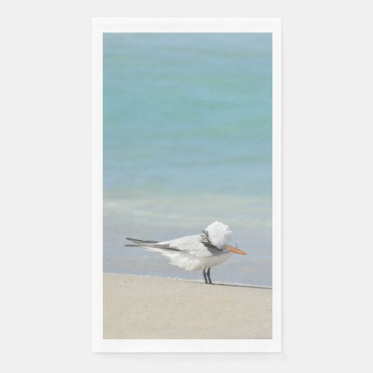 Tern on王室のビーチ海鳥の写真 (正面)
