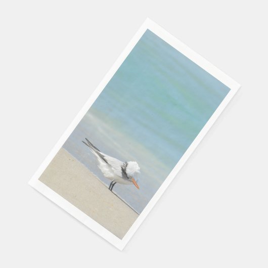 Tern on王室のビーチ海鳥の写真 (コーナー)