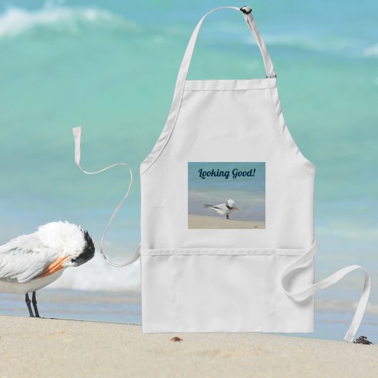 Tern Seabird王室の onビーチは良く見える スタンダードエプロン
