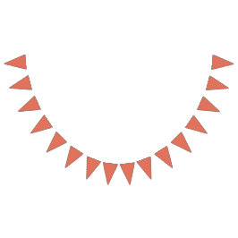 Terracotta  バンティングフラッグ