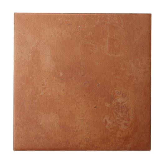 Terracotta red simple rustic  タイル (正面)
