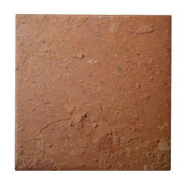 Terracotta red simple rustic  タイル