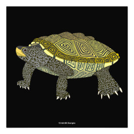 Terrapin (black) - Photo Print フォトプリント