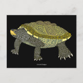 Terrapin (black) - Postcard ポストカード (正面)