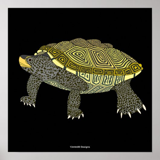 Terrapin (black) - Poster Print ポスター (正面)