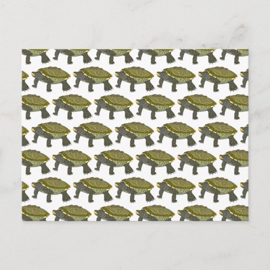 Terrapin (pattern white) - Postcard ポストカード (正面)