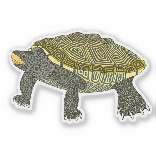 Terrapin - Vinyl Sticker シール (正面)