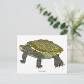Terrapin (white) - Postcard ポストカード (スタンド正面)
