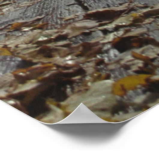 Terrasse Dufferin，ケベック，カナダ ポスター (角)