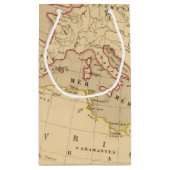 Terreの補助のtroisのfils de Noe スモールペーパーバッグ (裏面)