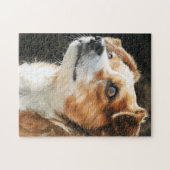 Terrier chihuahua mixed breed dog closeup ジグソーパズル (横)