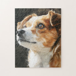 Terrier chihuahua mixed breed dog closeup ジグソーパズル