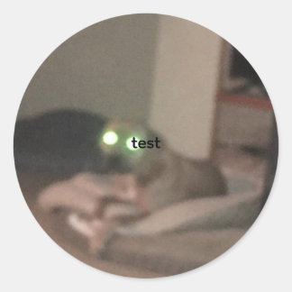 test ラウンドシール