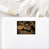 test ラベル (インサイチュ)