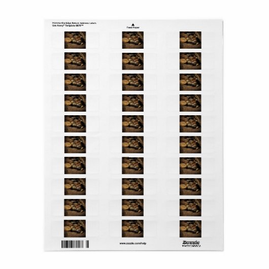 test ラベル (フルシート)