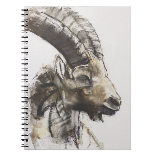 Testa 2005年 ノートブック (正面)