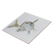 Teteの海ナマズ(Hexanematichthysのseemanni) 2 タイル (側面)