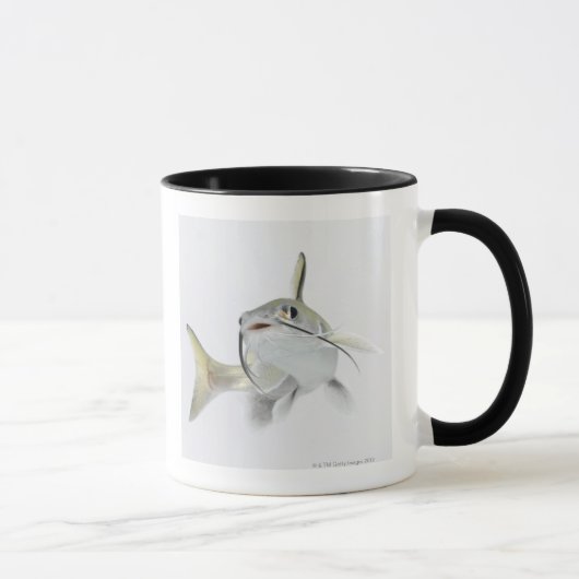 Teteの海ナマズ(Hexanematichthysのseemanni) 2 マグカップ (右)