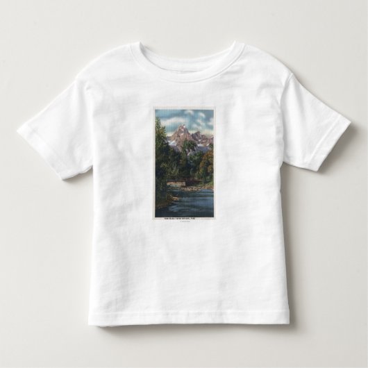 Tetonの国立公園、WY -対のピークの眺め トドラーTシャツ (正面)