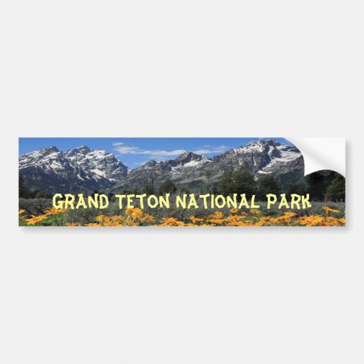 Tetonの壮大な国立公園 バンパーステッカー (正面)