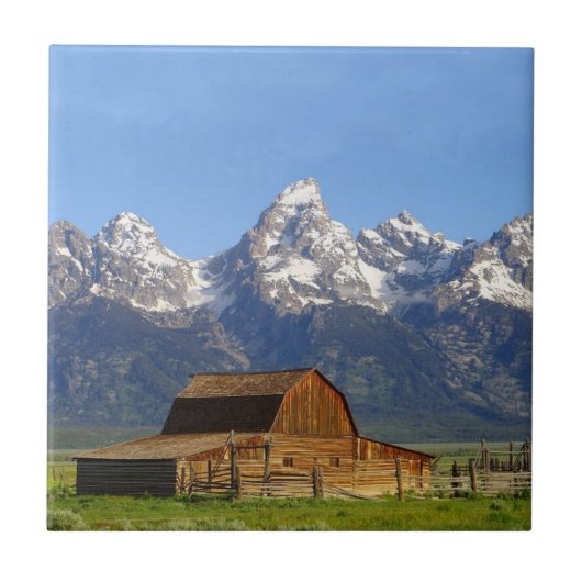 Teton壮大な山 タイル (正面)
