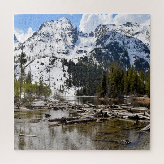 Teton Mountain Stream Reflections - 20x20 - 676 pc ジグソーパズル (縦)