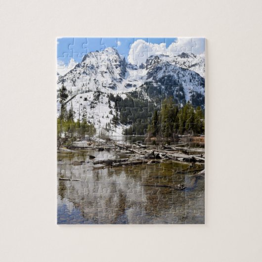 Teton Mountain Stream Reflections - 8x10 - 110個 ジグソーパズル (縦)