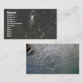 Tetragnathid Orb Weaver Spider名刺 名刺 (正面/裏面)