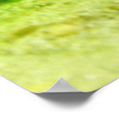 Tetraodon miurus ポスター (角)