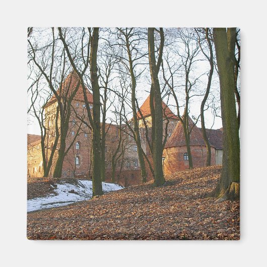 Teutonic Order Castle Neidenburg – マグネット (正面)