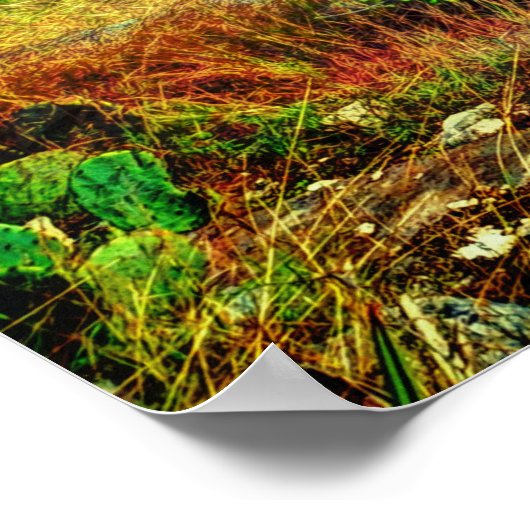 Texas  ポスター (角)