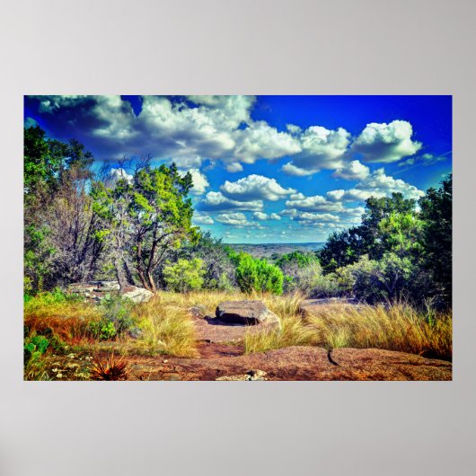 Texas  ポスター (正面)