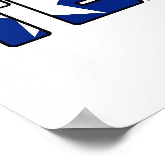 Texas ポスター (角)