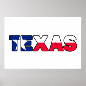 Texas ポスター (正面)