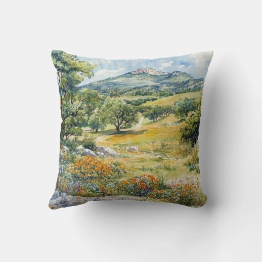 Texas Hill Country クッション (裏面)