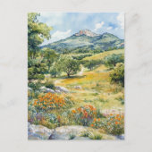 Texas Hill Country ポストカード (正面)