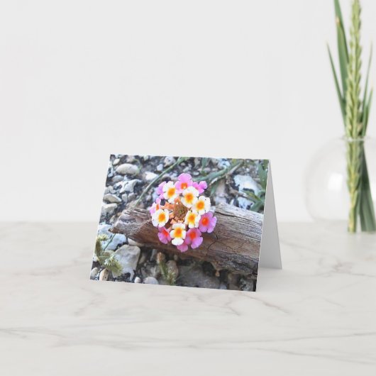Texas Lantana Flower - Pretty Blank Greeting Card サンキューカード (正面)