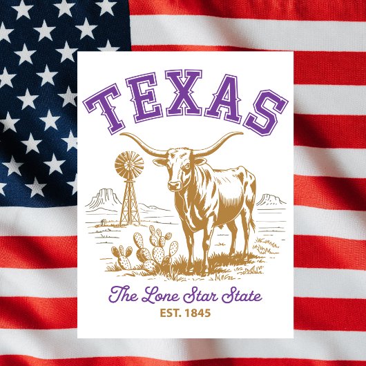 Texas Lone Star State Bull Illustration Travel ポストカード