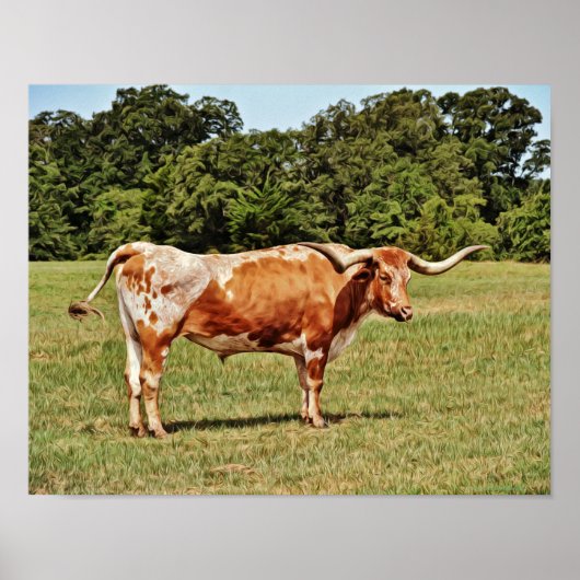 Texas Longhorn Cow Photographic Art Print ポスター (正面)