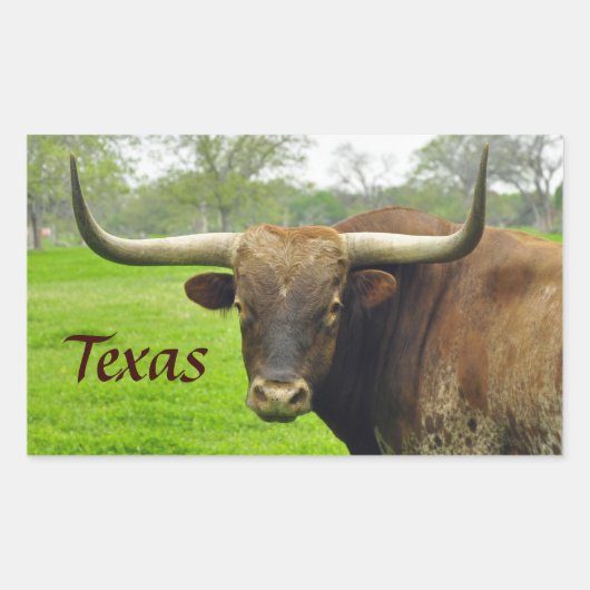Texas Longhorn 「Texas」ステッカー 長方形シール (正面)