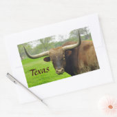 Texas Longhorn 「Texas」ステッカー 長方形シール (封筒)