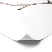 Texas Mockingbird Print ポスター (角)