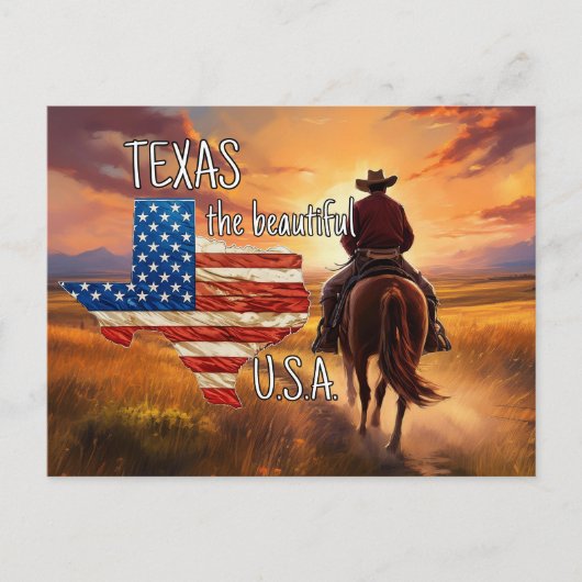 TEXAS the beautiful USA ポストカード (正面)