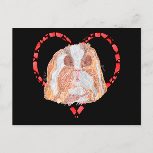TEXEL GUINEA PIG HEART シーズンポストカード (正面)