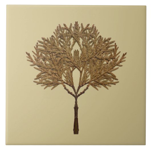 Textural Treasures of Winter on Ceramic Tile - D1 タイル (正面)