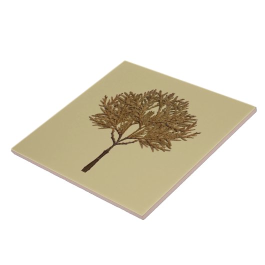 Textural Treasures of Winter on Ceramic Tile - D1 タイル (側面)