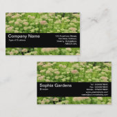 Texture Band V2 - Sedum (Autumn Joy) 名刺 (正面/裏面)