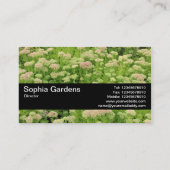 Texture Band V2 - Sedum (Autumn Joy) 名刺 (裏面)