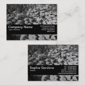 Texture Band V2 - Sedum "Autumn Joy" 名刺 (正面/裏面)